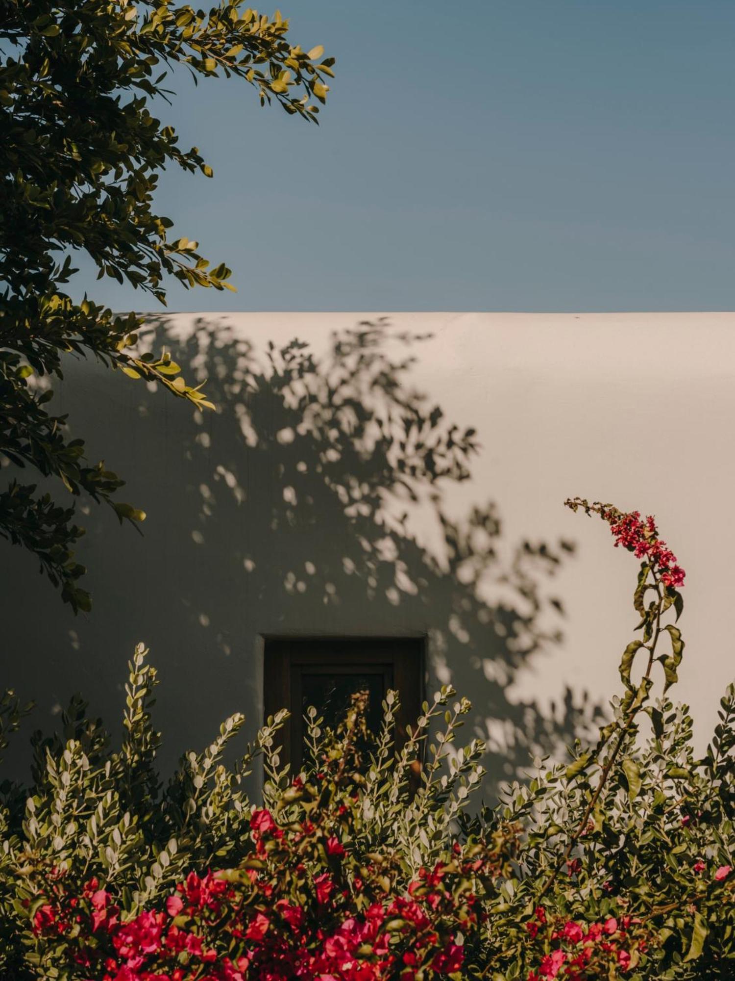Hotel The Wild By Interni Kalafatis Exterior foto